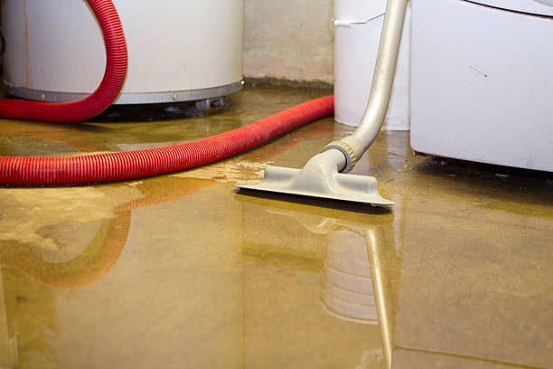 Best Water damage contractors near me  in USA